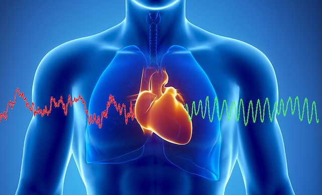 heart rate