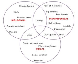 biopsychosocial model of pain