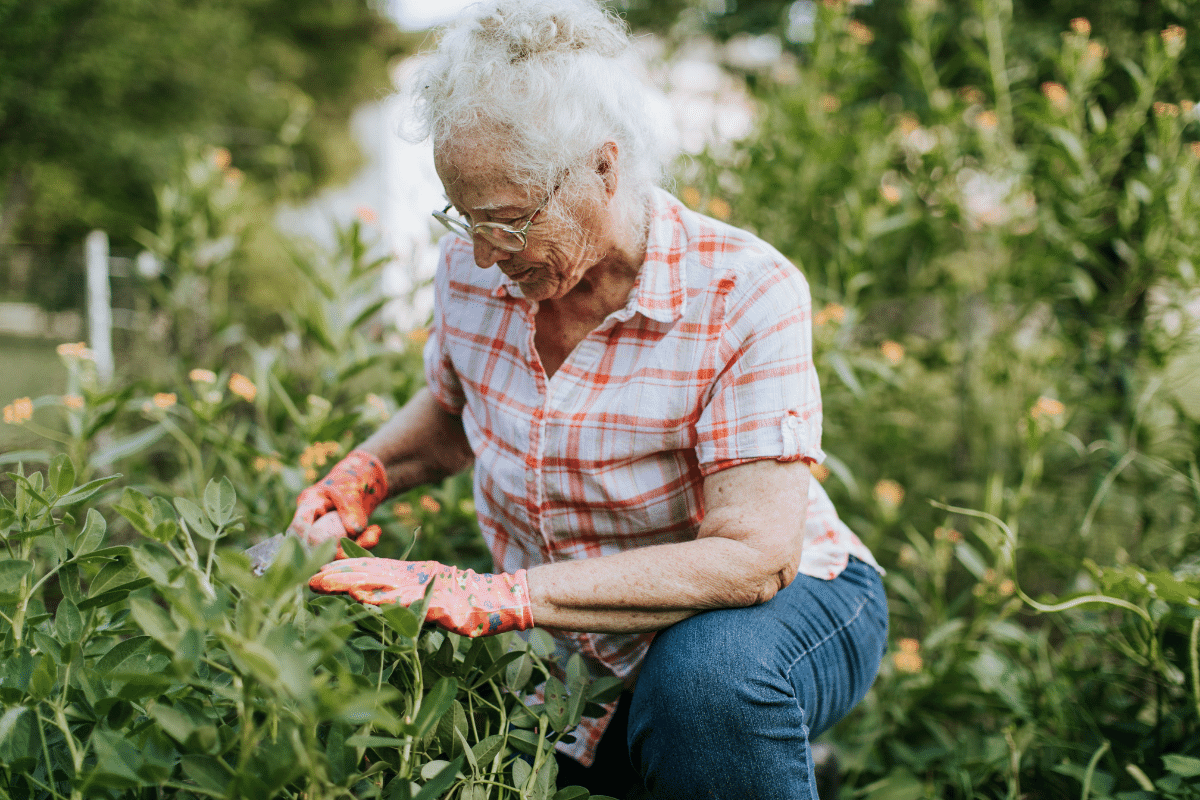 Exercise for older adults